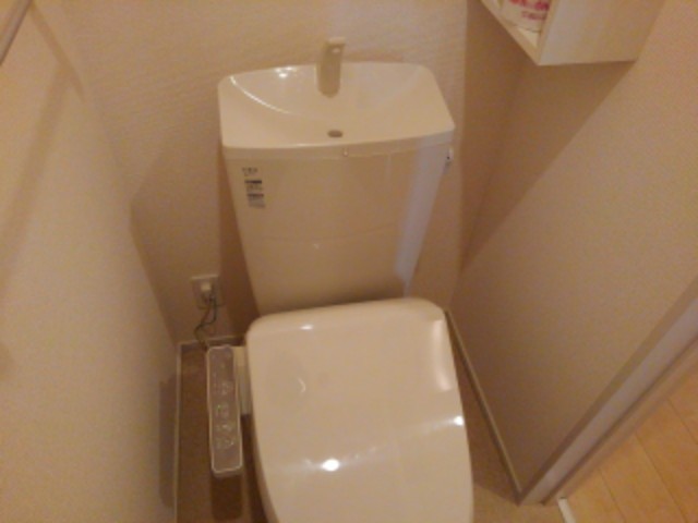 グレイス　ヴィオラ その他2