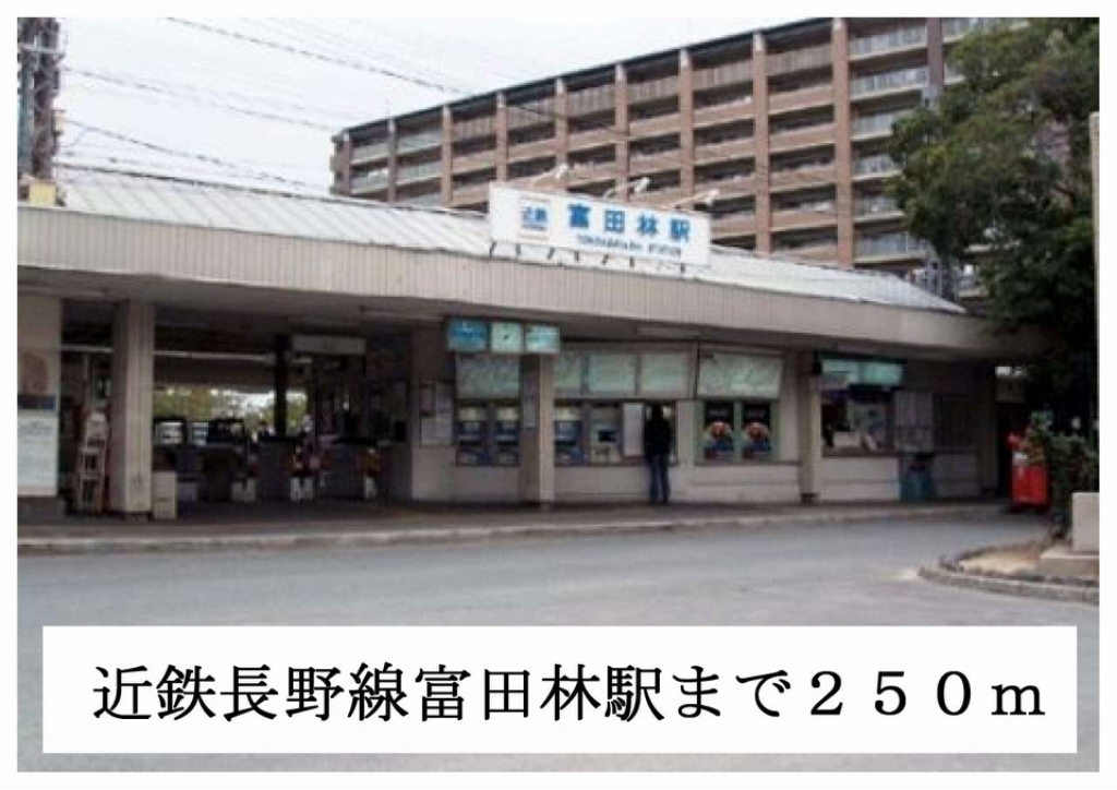 グレイス　ヴィオラ その他外観6