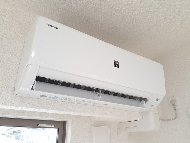 ルミノーサス その他3