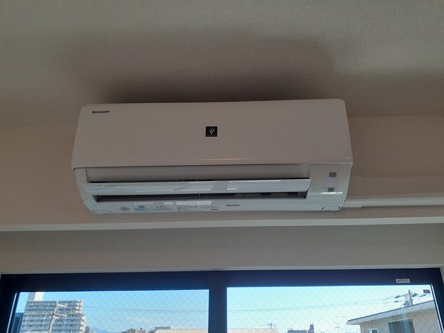 ココ　シュシュ その他3