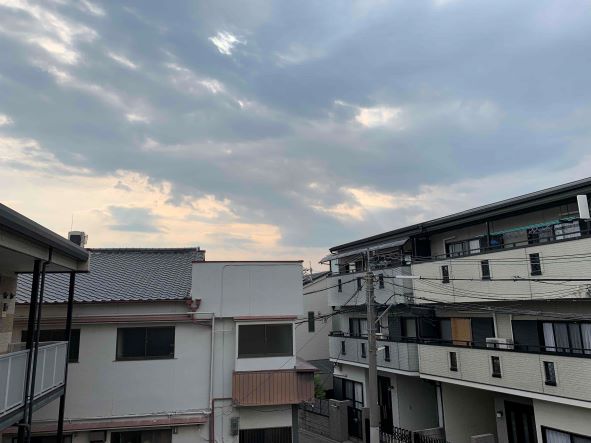 レオパレスラ　ピエス その他13