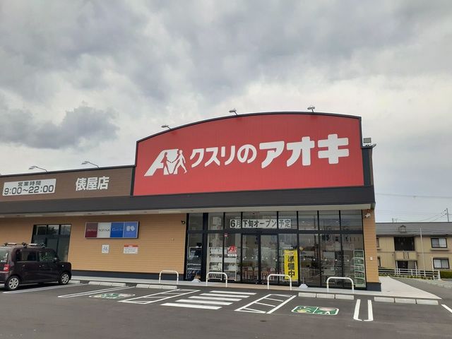 グレイス　リーフ　葵 その他外観4