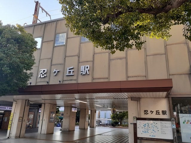 グレース讃良 その他外観6