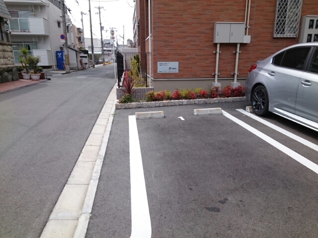 セレッソ菊水 その他1