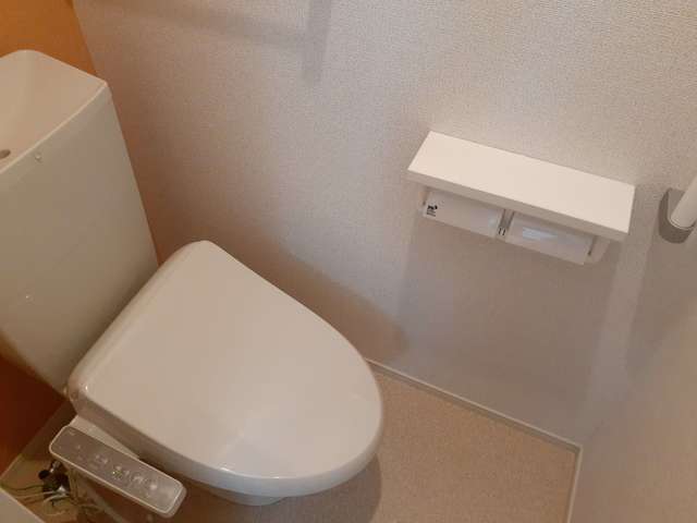 サウスフラワーⅡ その他5