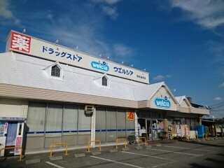 サウスフラワーⅡ その他外観3
