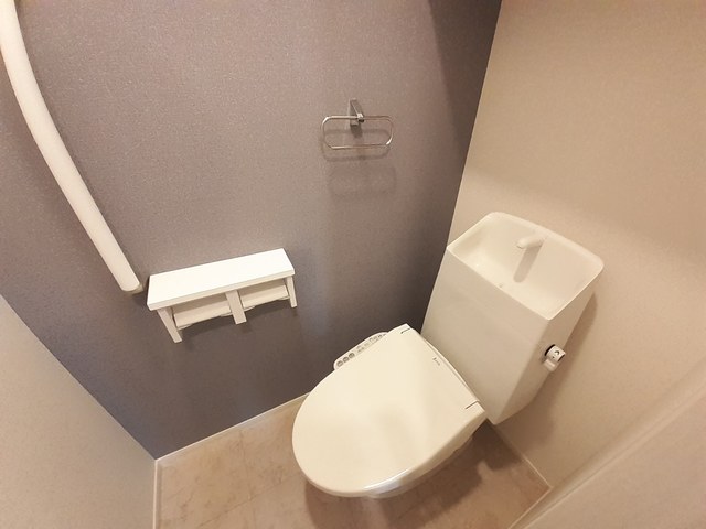 グレイシャス その他2