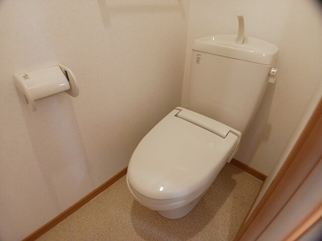 ヴィオラ その他2