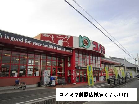 ヴィオラ その他外観1