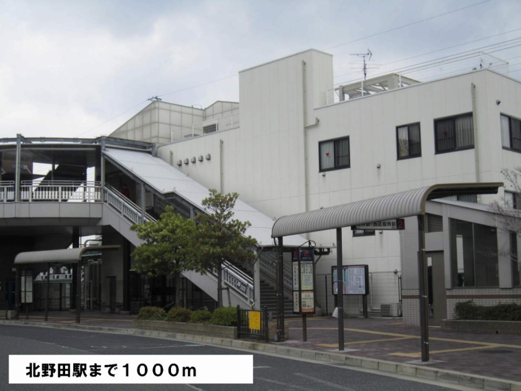 ヴィオラ その他外観5