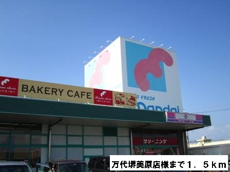 ヴィオラ その他外観6