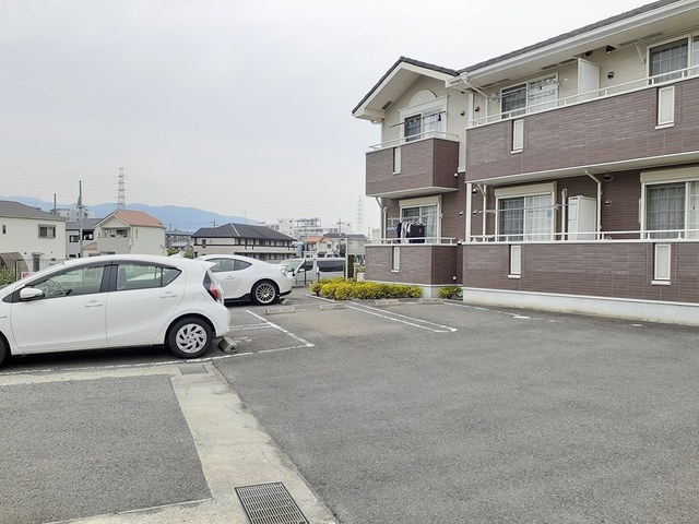 プラシード その他3