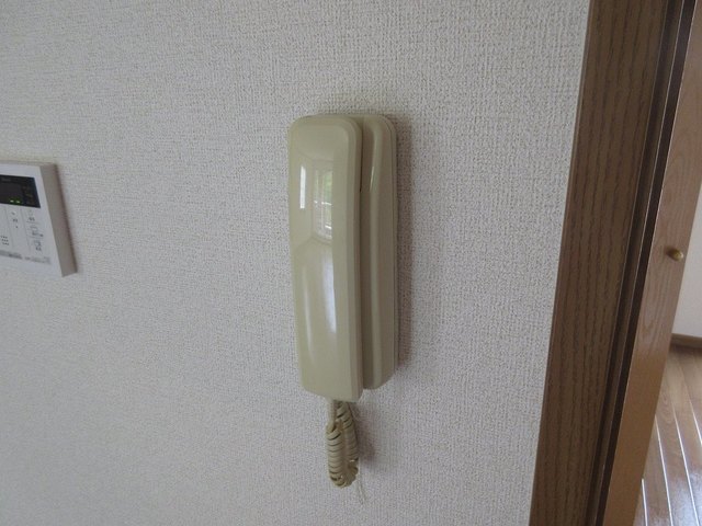 フィエルテ その他4