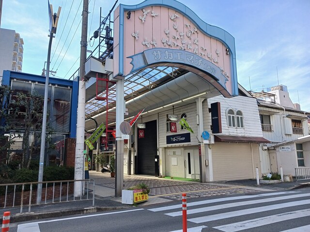 グランリヴェール建石町 その他外観2