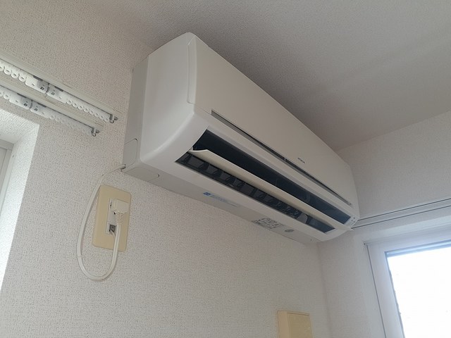 フルー　リール その他3