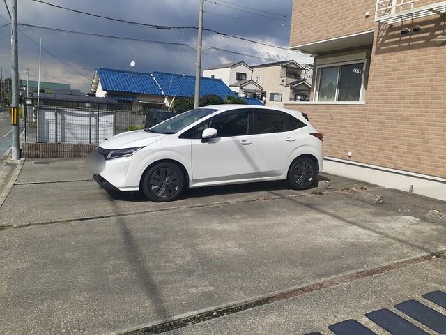 フルー　リール その他5