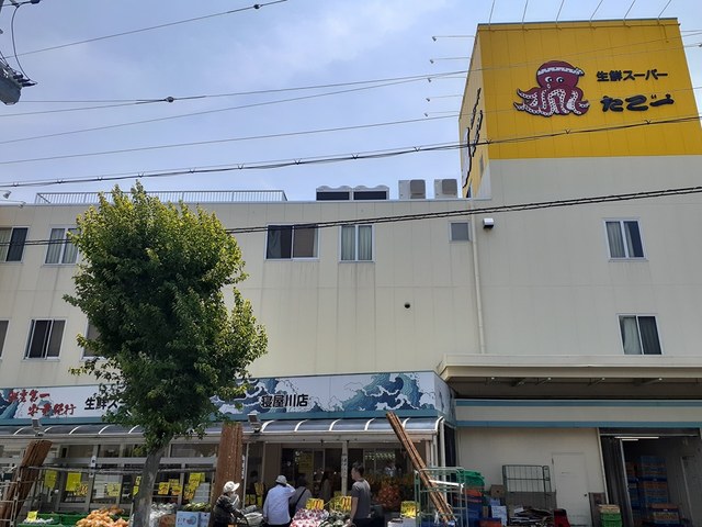 プラシードセレノカーサⅣ その他外観2