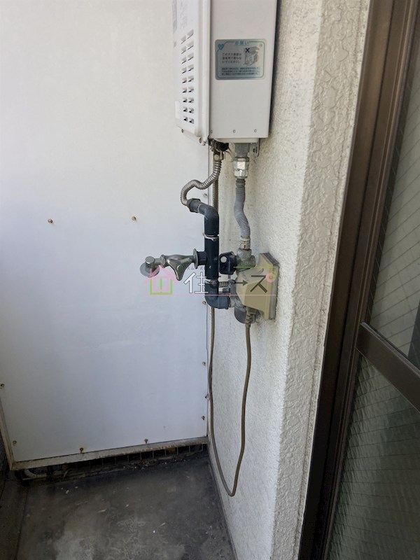 ミラグロス その他2
