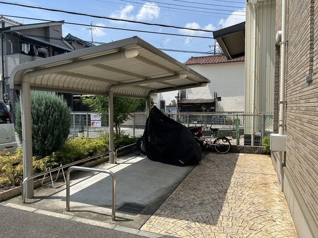 ライジングサン その他7