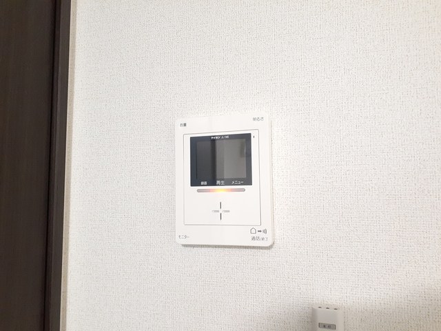 Ｆｌｏｕｒｉｓｈ その他