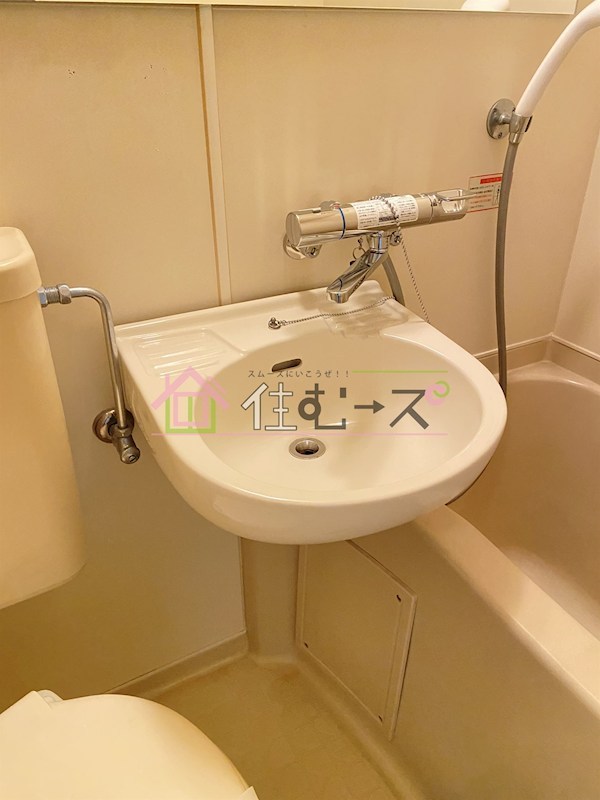 ヒカリ617 洗面所