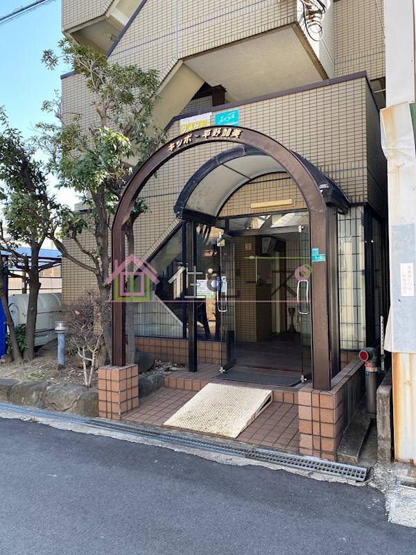 キッポー平野加美  その他1