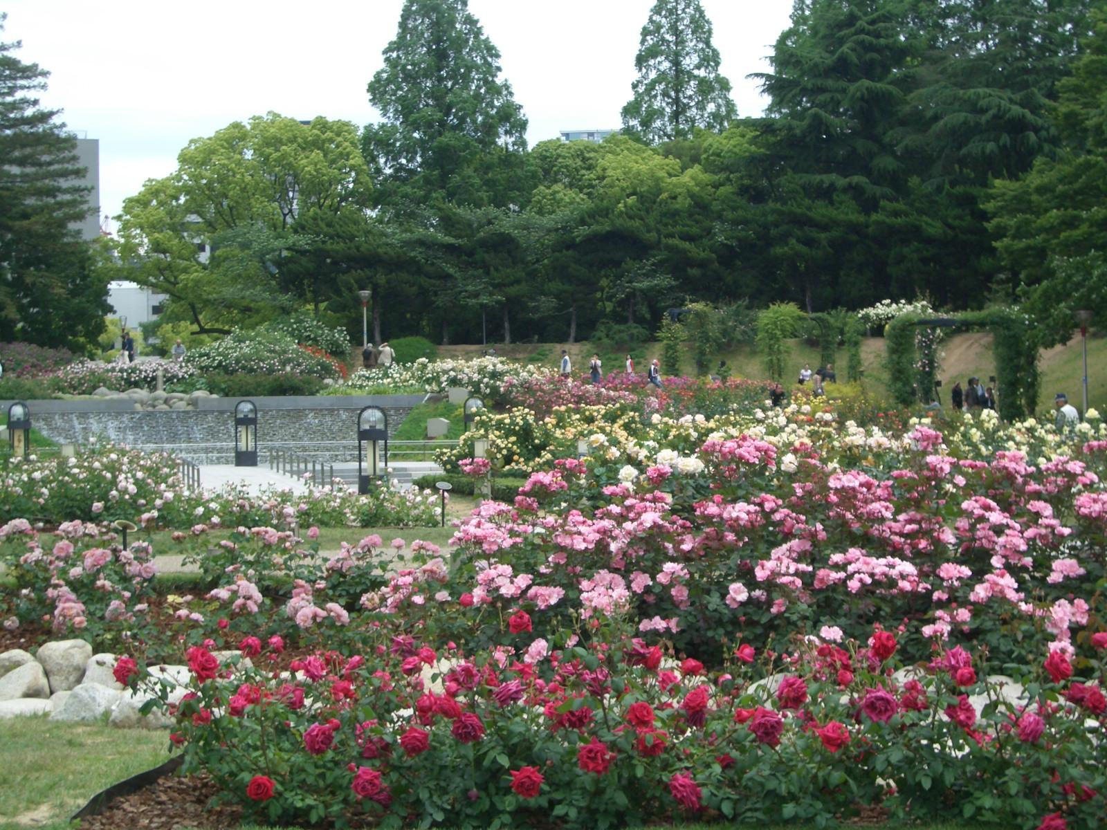 CITY　SPIRE靭公園 公園
