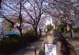 プレジール中野 公園