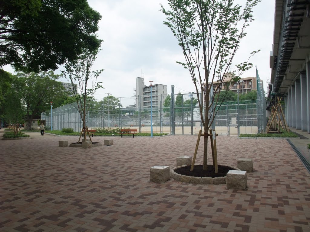 ココチフォレストGN 公園