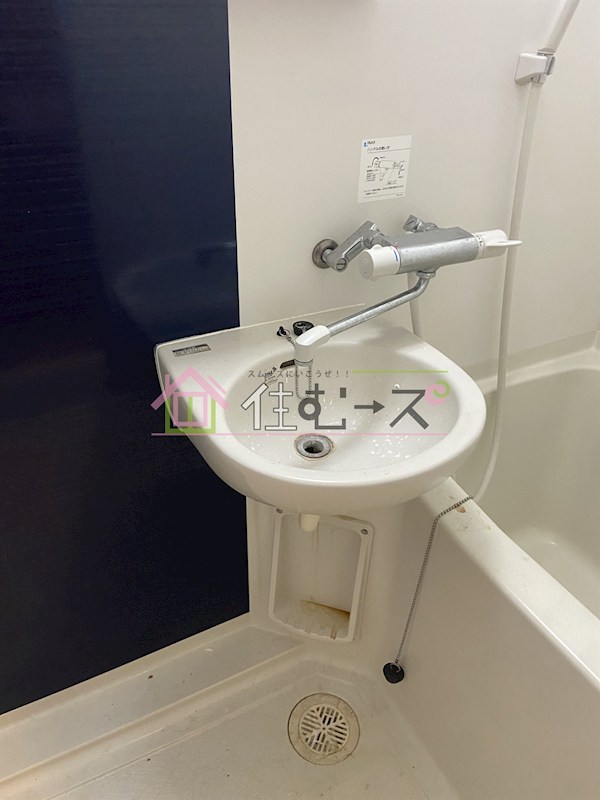 エリンデール桜川 洗面所