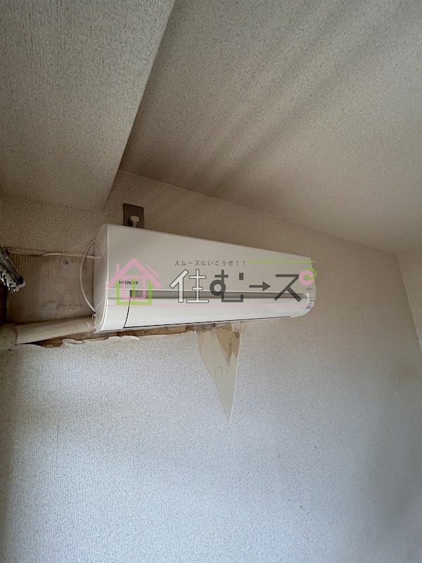 シロハイヌ千代崎 その他