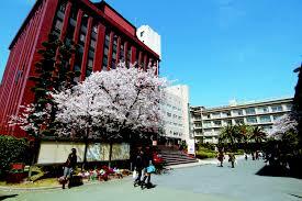 親交テラス相川 大学・短大