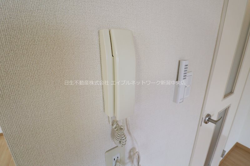 ルミナス　ノイ セキュリティ