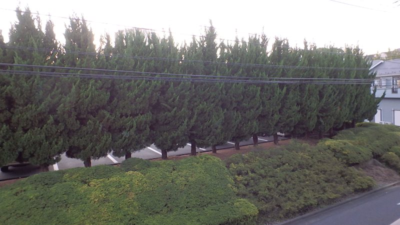 新百合ヶ丘ピア池尻 その他10