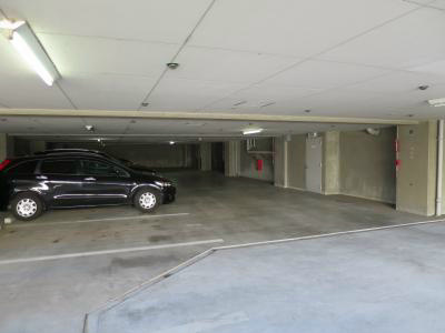 コモン・シード新百合 その他外観3