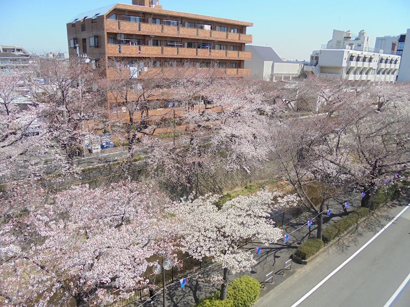 グラン・ヴェルジェ その他20