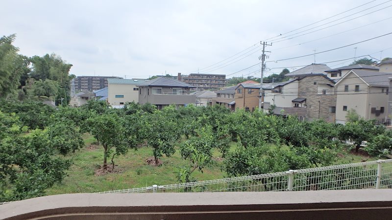 パーシモンズ峰 その他7