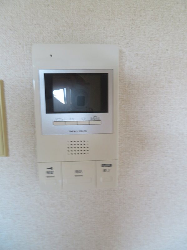 パーシモンズ峰 その他9