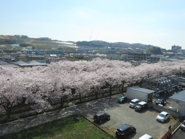 ブライトヒル ベランダ