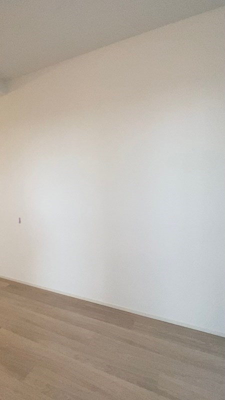 パークタワー勝どきミッド リビング