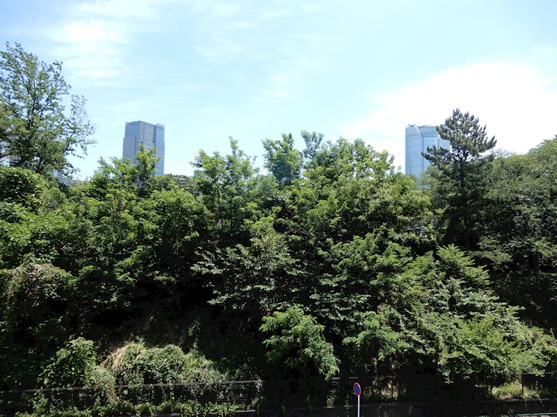 南青山マスターズハウス その他外観4