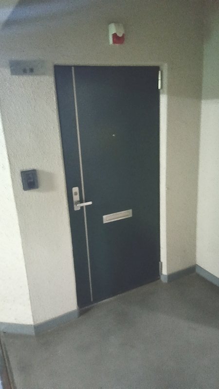 ドミール向ヶ丘 玄関