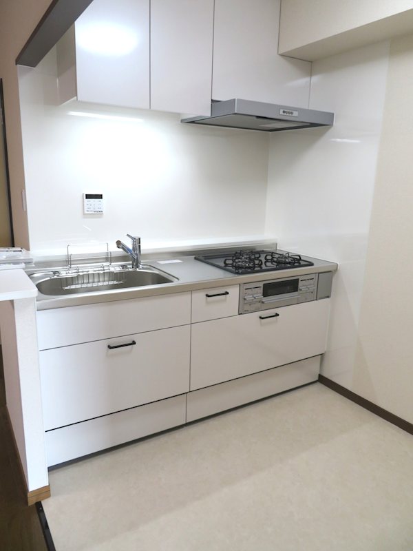 エクシアハイツ キッチン
