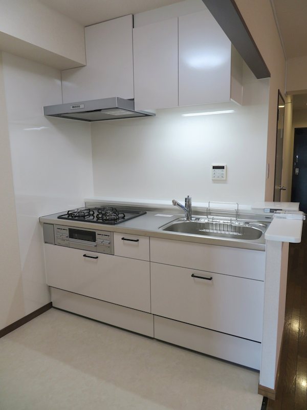 エクシアハイツ キッチン