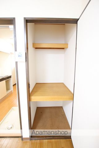 シルフィード菅原 その他