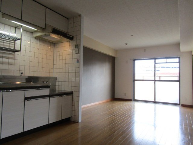 アビタマルフクⅢ その他