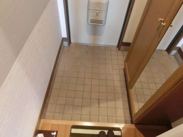 ヴィアーレマルフク南館 玄関
