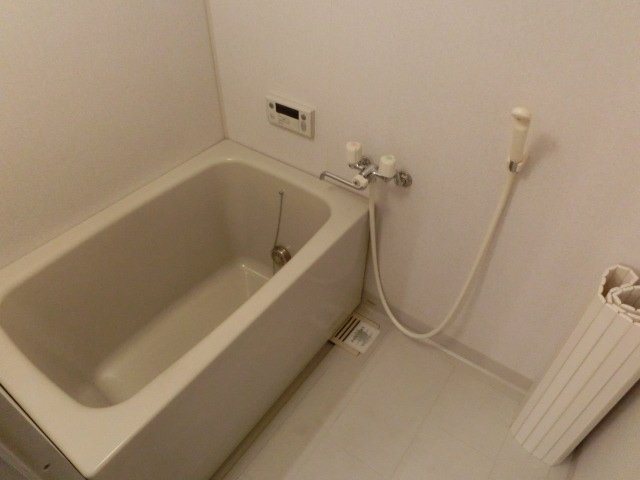 ヴィアーレマルフク南館 風呂画像