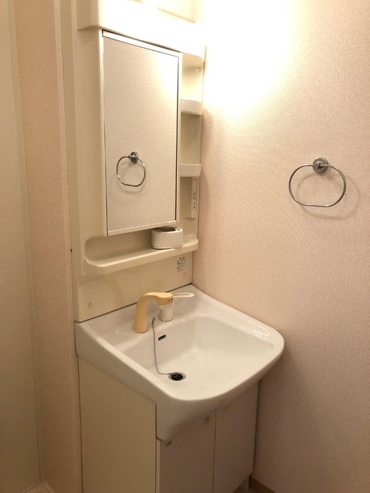 パルティール若竹 洗面所