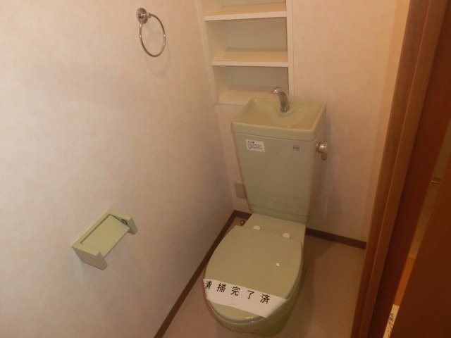 Ｍ・ＨＯＵＳＥ・Ⅱ（エムハウス） トイレ